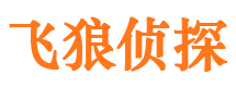 阳山市婚外情调查